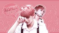 My Joshua | Seventeen ♥