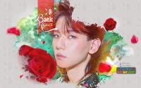 EXO ● BAEKHYUN_KOKOBOP [The War 2017]