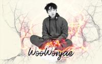 Woo Wonjae (Show Me The Money 6)
