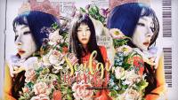Red Velvet Seulgi | Perfect Velvet