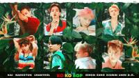 EXO :: KOKOBOP #2