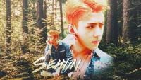 HBD ♥ SEHUN