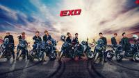 EXO::TEMPO(2)