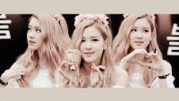 Rosé set1.1