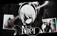 Nier2b