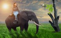 Girl on Elephant in Forest