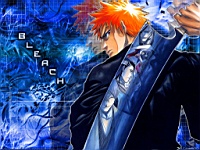 Bleach_110001