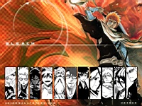 Bleach_110002