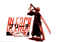 Bleach_110006