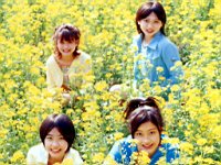 Berryz_Kobo_040010