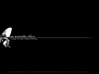 The_Butterfly_Effect_090007