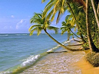 Beach_010004