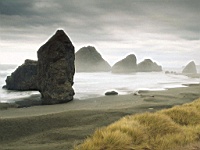 Beach_010009