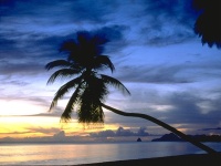 Beach_010015