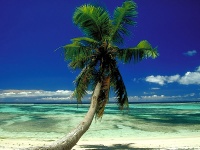 Beach_010021