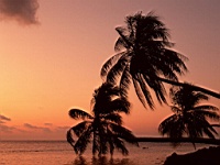 Beach_010025