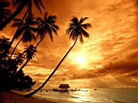Beach_010026