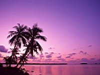 Beach_010027